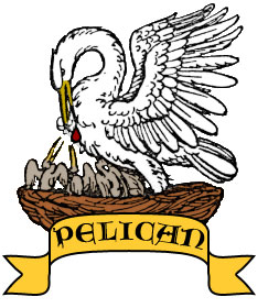 Image:Pelican.jpg