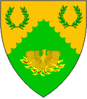The Barony Fenix Arms