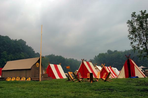 File:VikingsComeHome.jpg